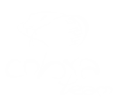 Cobra Team